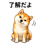 887976720