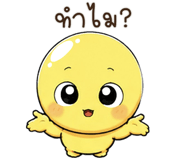 887978593