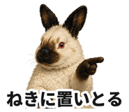 888013005