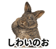 888013008