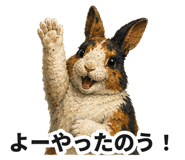888013015