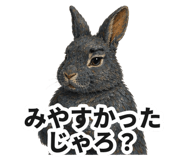 888013020