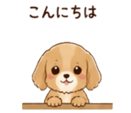 888035419