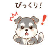 888035431