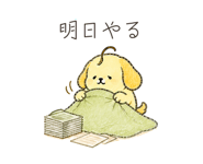 888035557