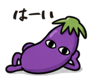 888037335