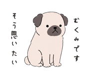 888043162