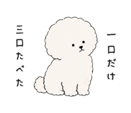 888043164