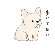 888043173