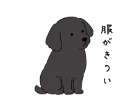 888043176