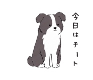 888043184