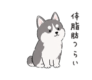 888043185