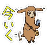 888044898