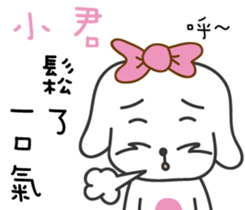88808564