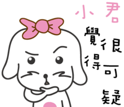 88808568