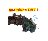 888137473