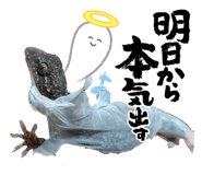 888137475