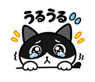 888155352