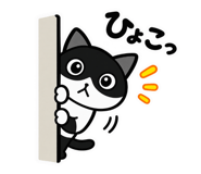 888155900