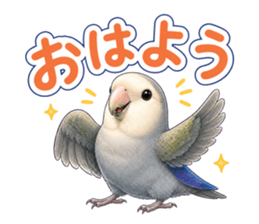 インコのウギ おはよう の実物LINEスタンプ