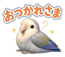 インコのウギ おつかれさま の実物LINEスタンプ