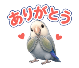 インコのウギ ありがとう の実物LINEスタンプ