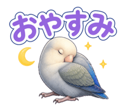 インコのウギ おやすみ の実物LINEスタンプ