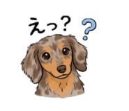 888167678