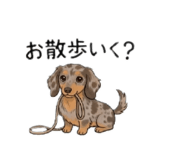 888167681