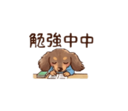 888167693