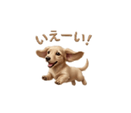 888167696