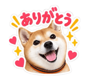 888167746