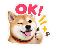 888167750