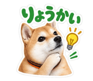 888167751