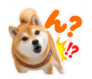888167756