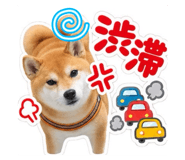 888167758