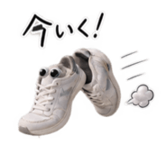 888168009