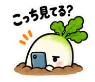 888168347