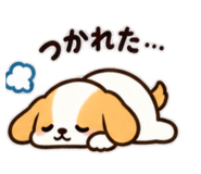 888170668