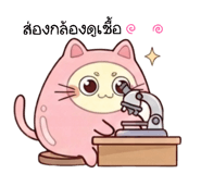 888173026
