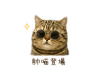 888175601