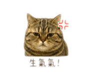 888175615
