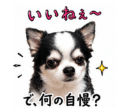 888190111