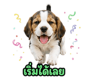 888197770