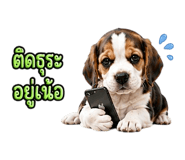 888200744