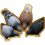 888202703