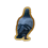 888202704