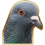 888202706