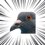 888202724