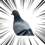 888202726